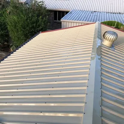 Ceiling Cavity & Gutter Cleaning after example 1