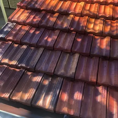 Ceiling Cavity & Gutter Cleaning after example 3